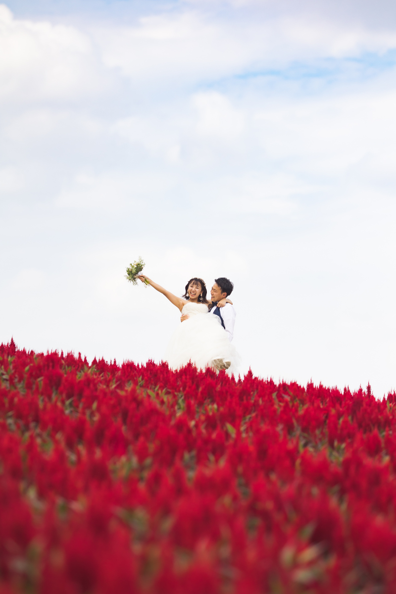 8月　四季彩の丘、鳥沼公園、牧草ロール　その１