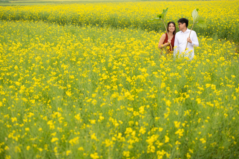 北海道お花畑で結婚写真。ラベンダーひまわりだけじゃない５つの手順