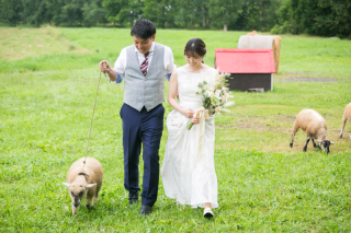 データがあると様々なことに利用できます