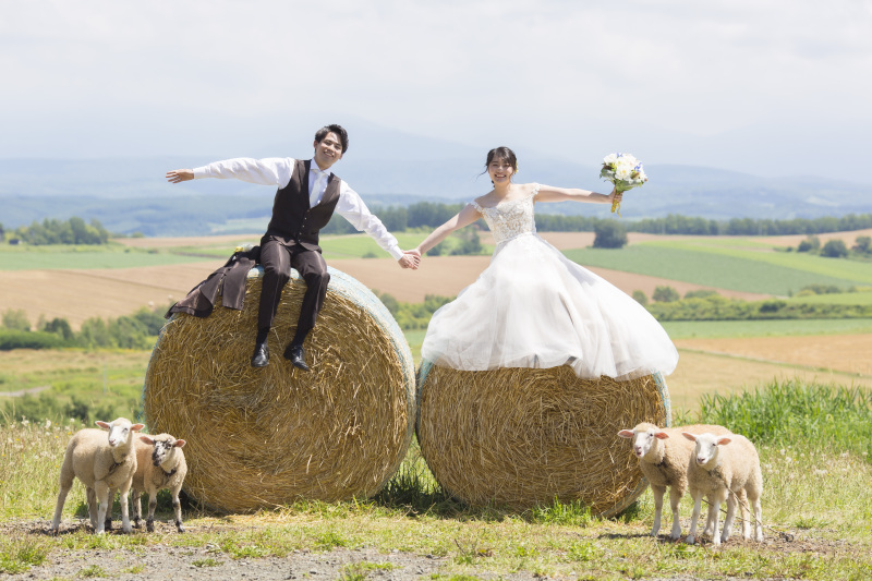 7月中旬ころの羊と撮影、四季彩の丘の2か所かわいいとカラフル楽しめます