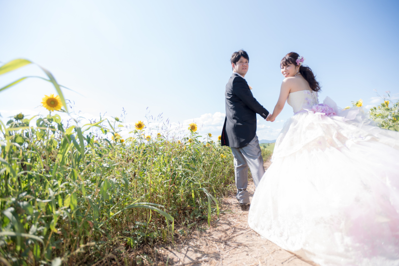 北海道お花畑で結婚写真。ラベンダーひまわりだけじゃない５つの手順