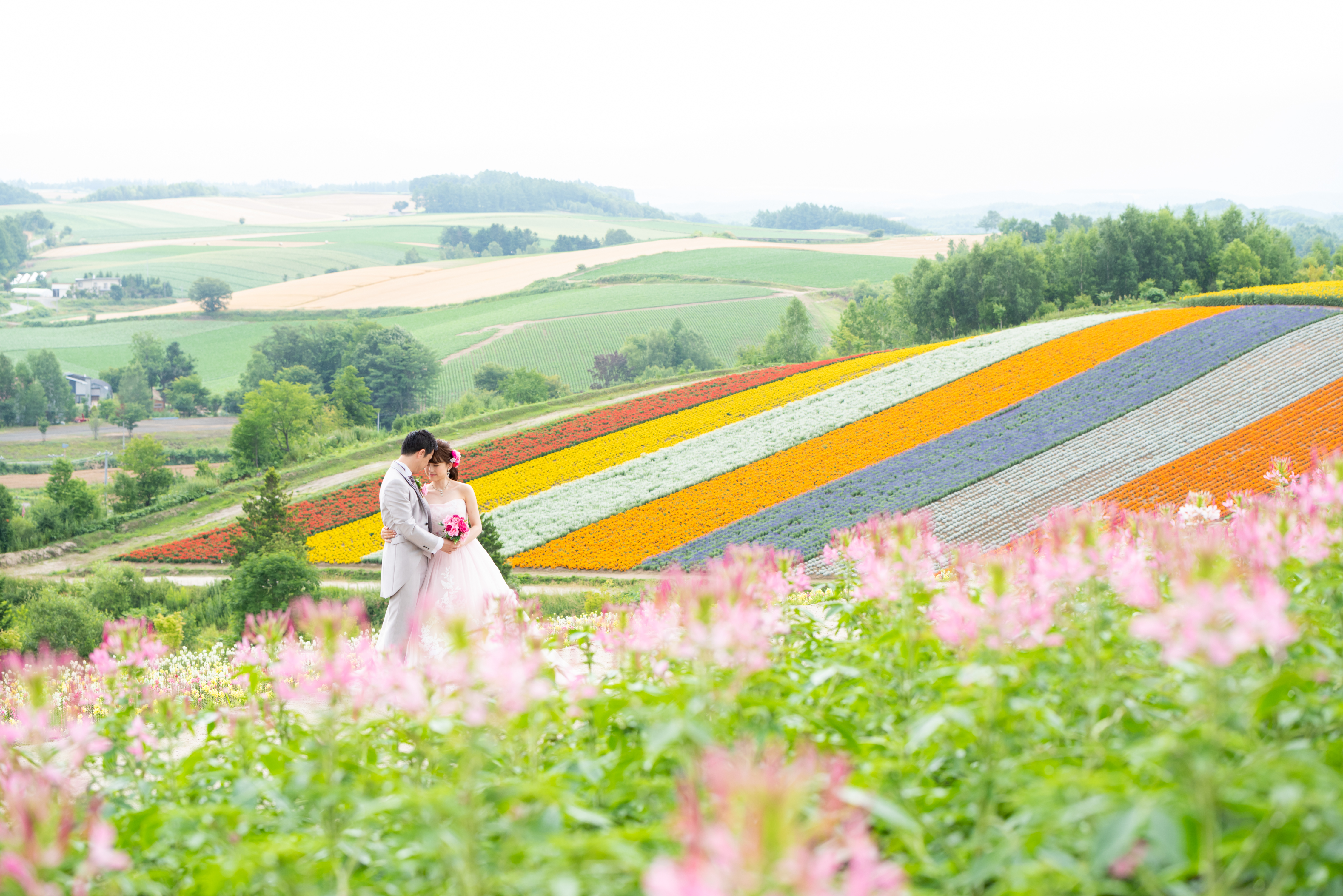 北海道お花畑で結婚写真 ラベンダーひまわりだけじゃない５つの手順 公開日 年6月21日 丘のうえ Hills Studio 北海道 でフォトウェディング探すならphotorait