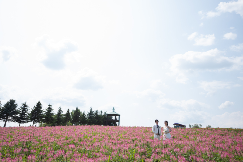 7月のフラワーランドかみふらの②