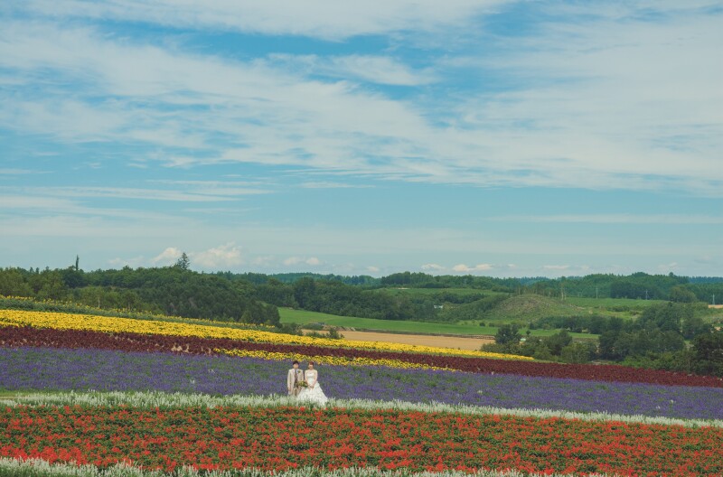 広々とした北海道らしいお花畑、フラワーランドかみふらの Ⅱ