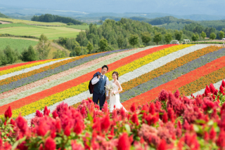 秋でもまだまだお花畑で撮影が可能！
