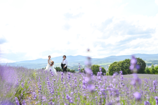 丘のうえはシーズン料金0円！