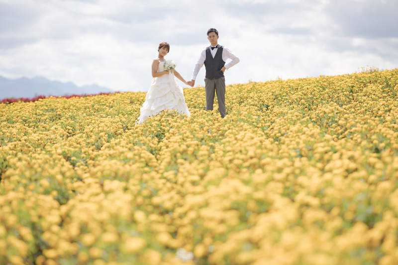 広々とした北海道らしいお花畑、フラワーランドかみふらの Ⅱ