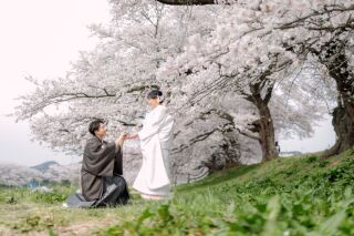 \桜ロケ!今ならおトクなプランで/