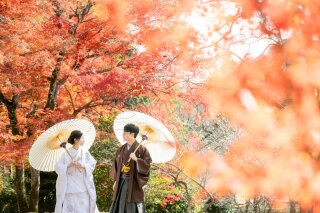【クレール】紅葉ロケは早い者勝ち!早期割引紅葉プランスタート☆