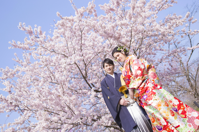 ♡桜カウントダウン♡