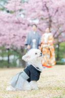 今年も残りわずかとなりました！！本日のご紹介は...♡