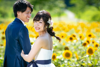 ▥ひまわりフォト▥