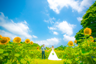 ▦ 夏・秋の撮影ご予約受付中▦