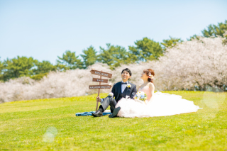 ▤桜ロケーションプラン▤