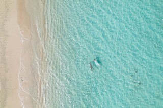 HAPPY NEW YEAR!!2023⸝⋆