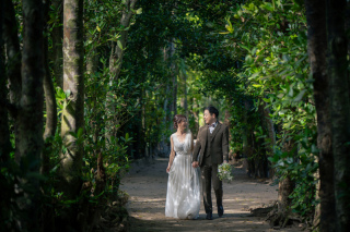 海だけじゃない!グリーンスポットの魅力をご紹介！