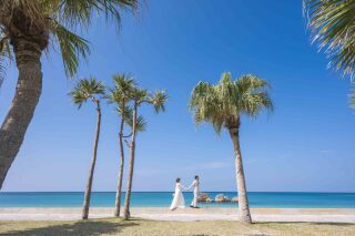 １DAYプランの魅力をご紹介＊*･:*+