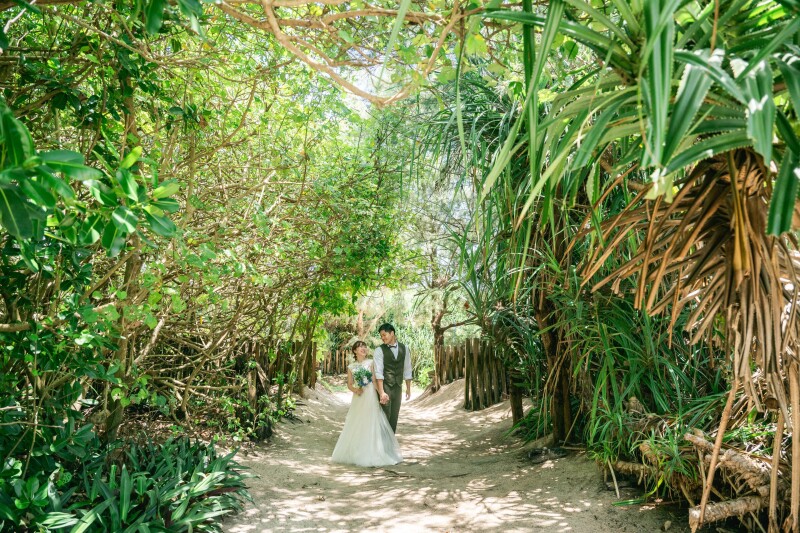 与論島大好きなスタッフが、与論島の魅力を教えます☆*: