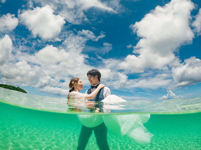 トラッシュザドレスとは??