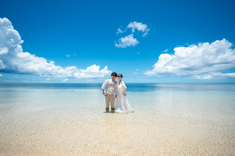 迷われている方必見!人気プランランキング*