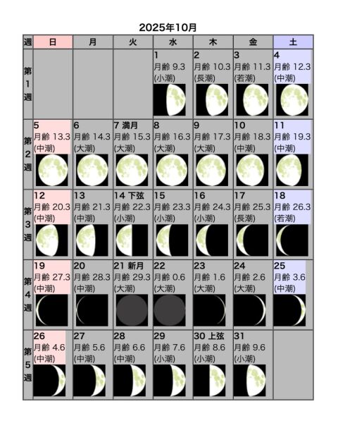 「星」と「月」の関係 ☆ 10月星空おすすめ日