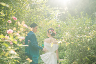 迷われている方必見!人気プラン*ランキング*