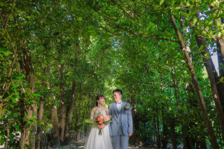 沖縄本島北部エリアの撮影地“フクギ並木”のご紹介