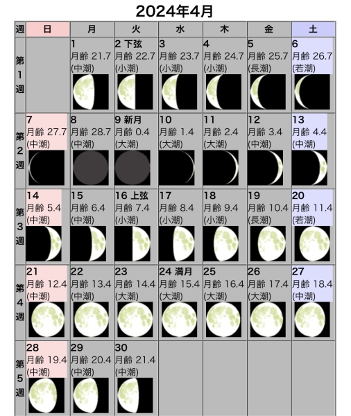 「星」と「月」の関係☆4月星空おすすめ日