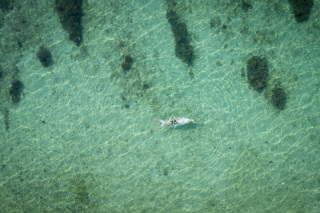 ご予約の流れにつきまして＊*