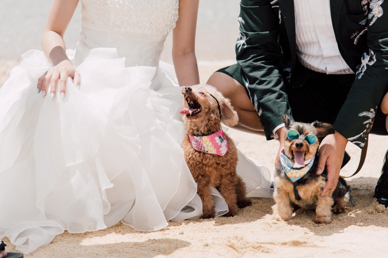 ｟Q&A｠沖縄フォトウェディングで よくある質問特集♪