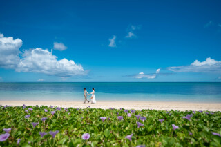 『 もしもの事態でも安心 !! 』安心補償プランのご紹介＊