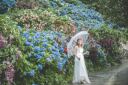 *梅雨限定プラン！あじさい園ウェディング