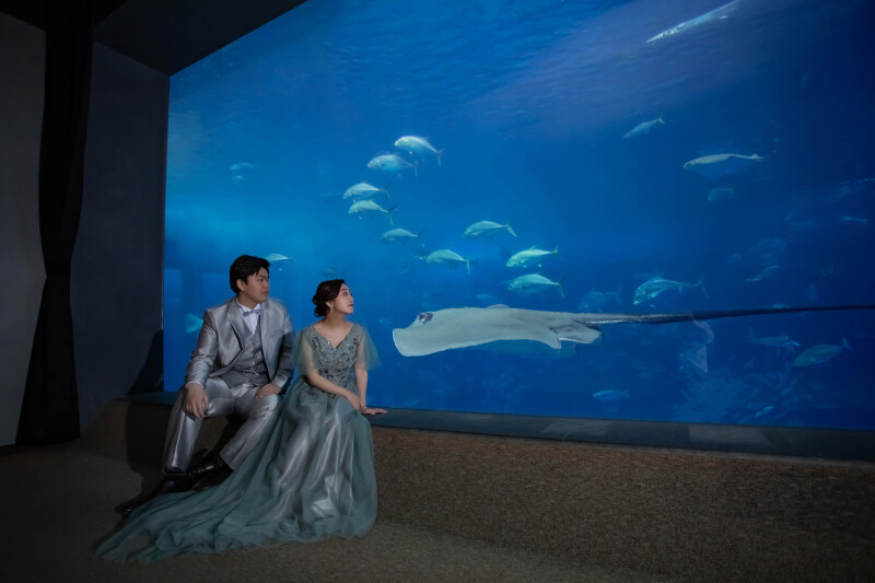 大迫力！美ら海水族館でウェディングフォト＊*