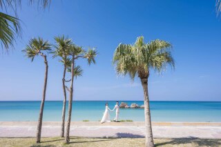 8月の空き状況とおすすめプラン**