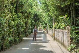 \NEW!! 撮影スポット/ 屋部のフクギをご紹介.:*☆