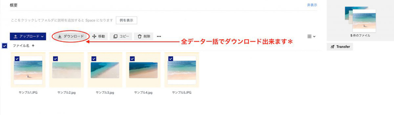 ダウンロード形式納品とは***