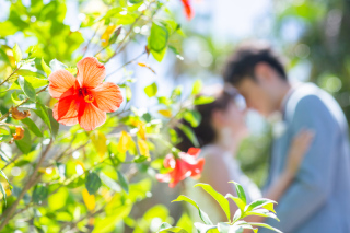 20時まで受付中！フォトウェディングのオンライン相談＊*