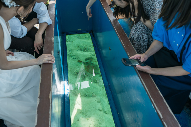 与論島大好きなスタッフが、与論島の魅力を教えます☆*: