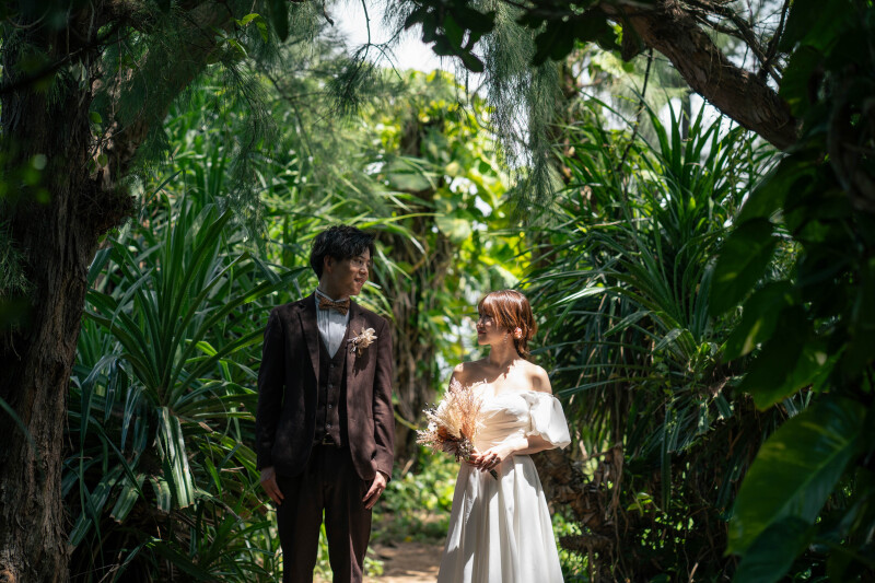 迷われている方必見!人気プランランキング*