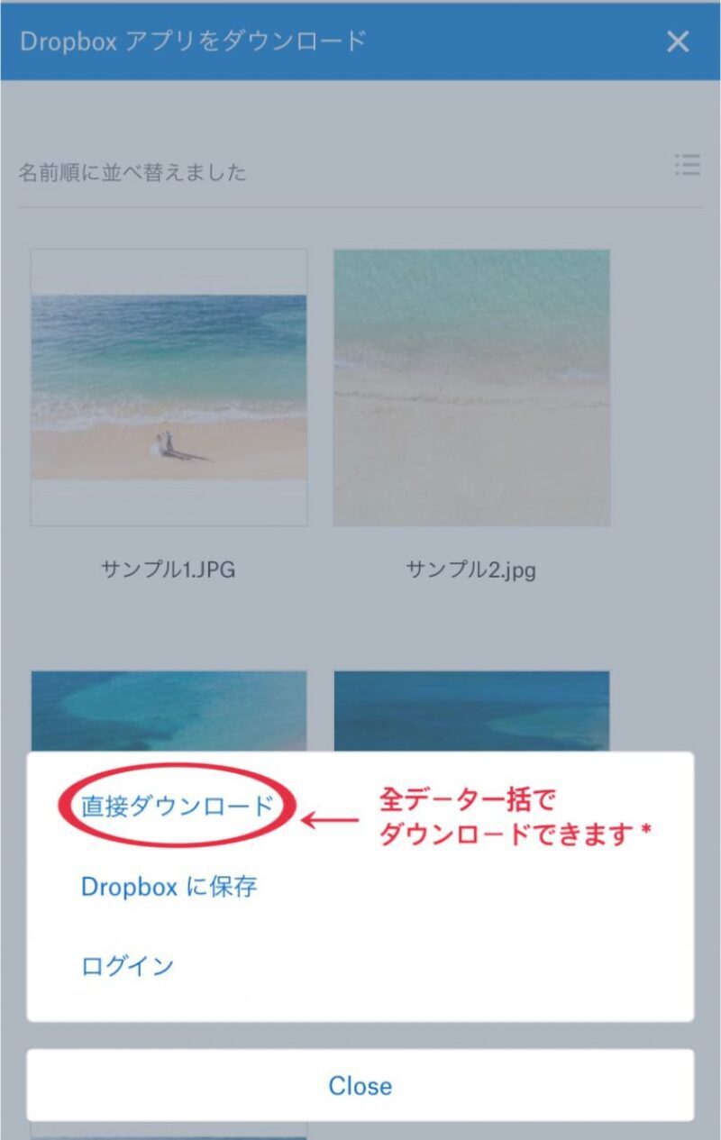 ダウンロード形式納品とは***