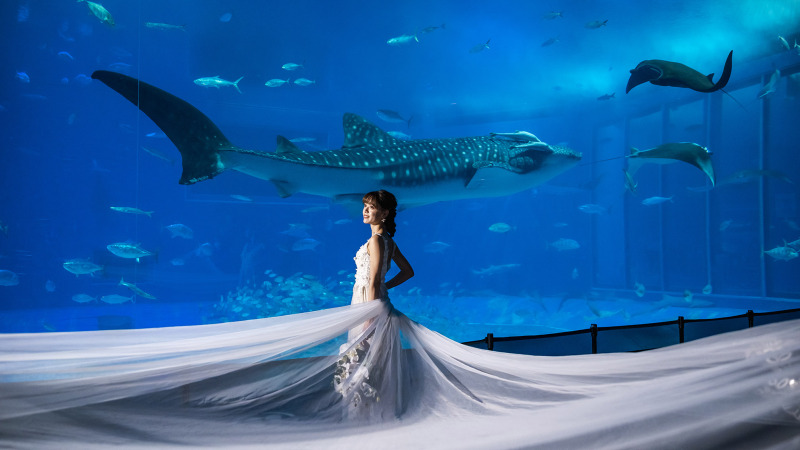 大迫力！美ら海水族館でウェディングフォト＊*