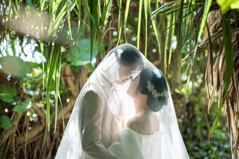 迷われている方必見!人気プランランキング*