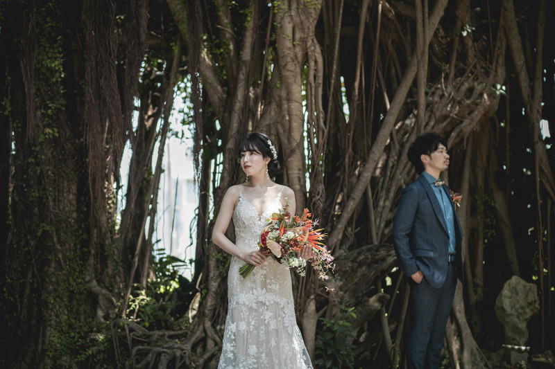 撮影地のご紹介＠フクギ並木