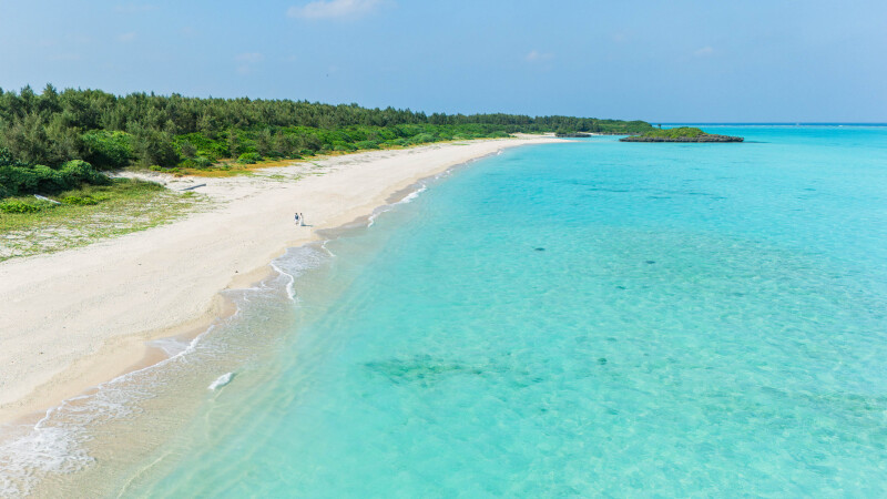 与論島大好きなスタッフが、与論島の魅力を教えます☆*: 