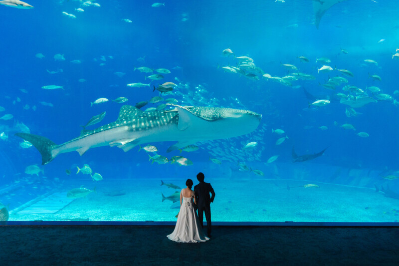 最新☆撮影させていただいたお客様のお写真をご紹介