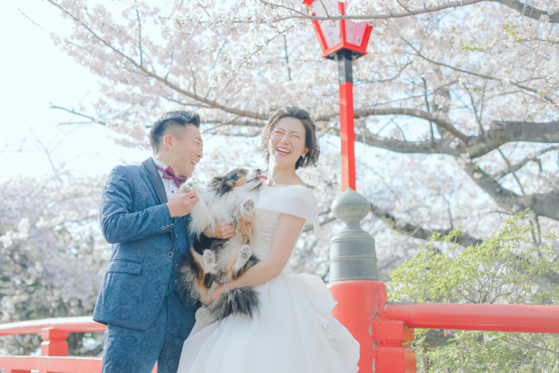 12/1～　桜フォトご予約スタートです！