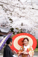 桜の開花予測が3日も早くなりました~!!