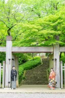 今年は新緑の色づきも早っ!!