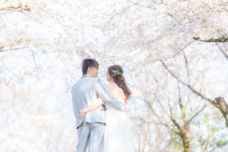 春の”桜フォト”のご予約スタートしています(^^)/