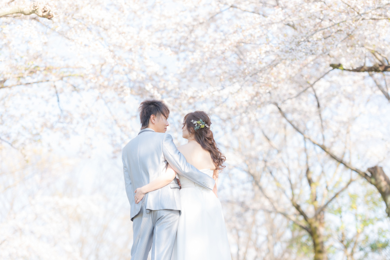 春の”桜フォト”のご予約スタートしています(^^)/
